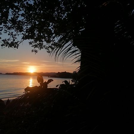 Port Antonio Brian'S Beach House Dış mekan fotoğraf