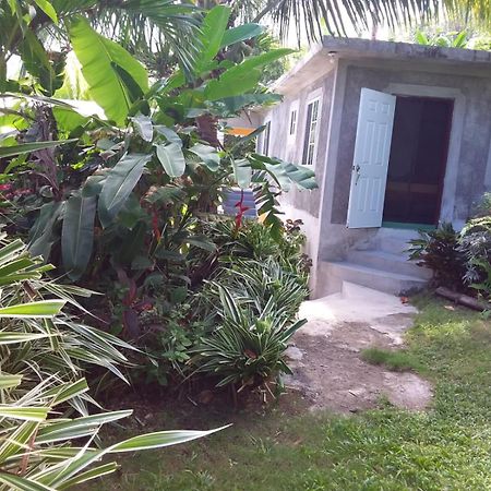 Port Antonio Brian'S Beach House Dış mekan fotoğraf