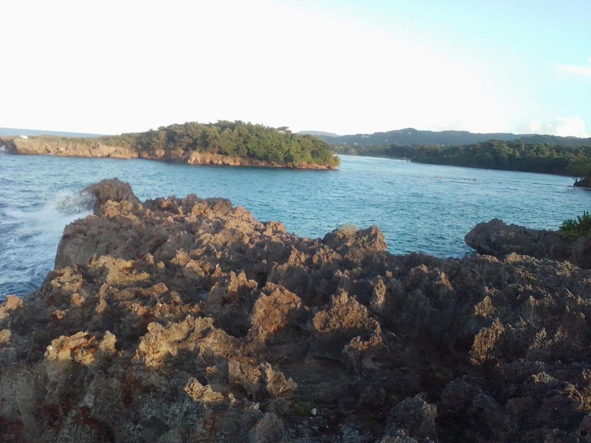 Port Antonio Brian'S Beach House Dış mekan fotoğraf