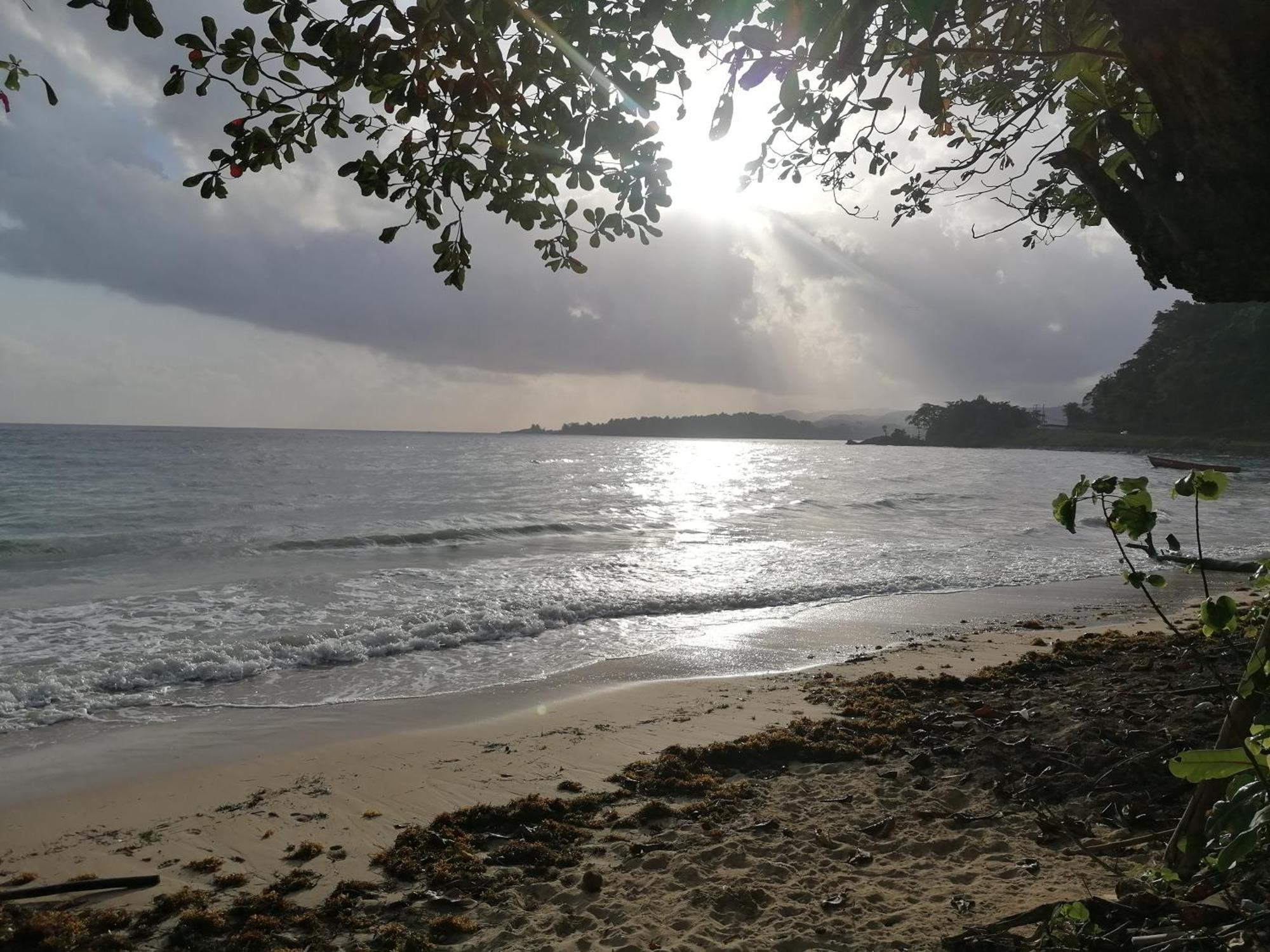 Port Antonio Brian'S Beach House Dış mekan fotoğraf