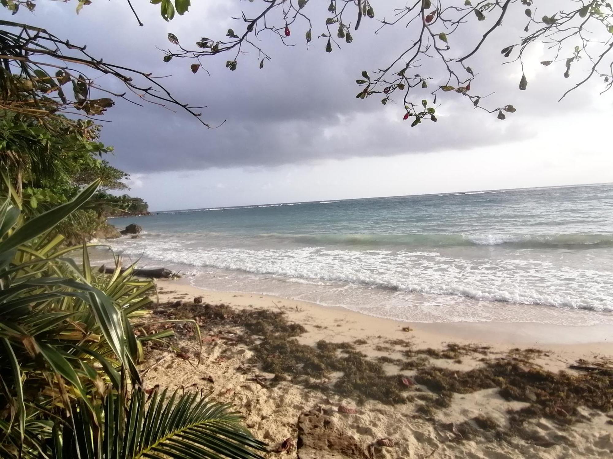 Port Antonio Brian'S Beach House Dış mekan fotoğraf
