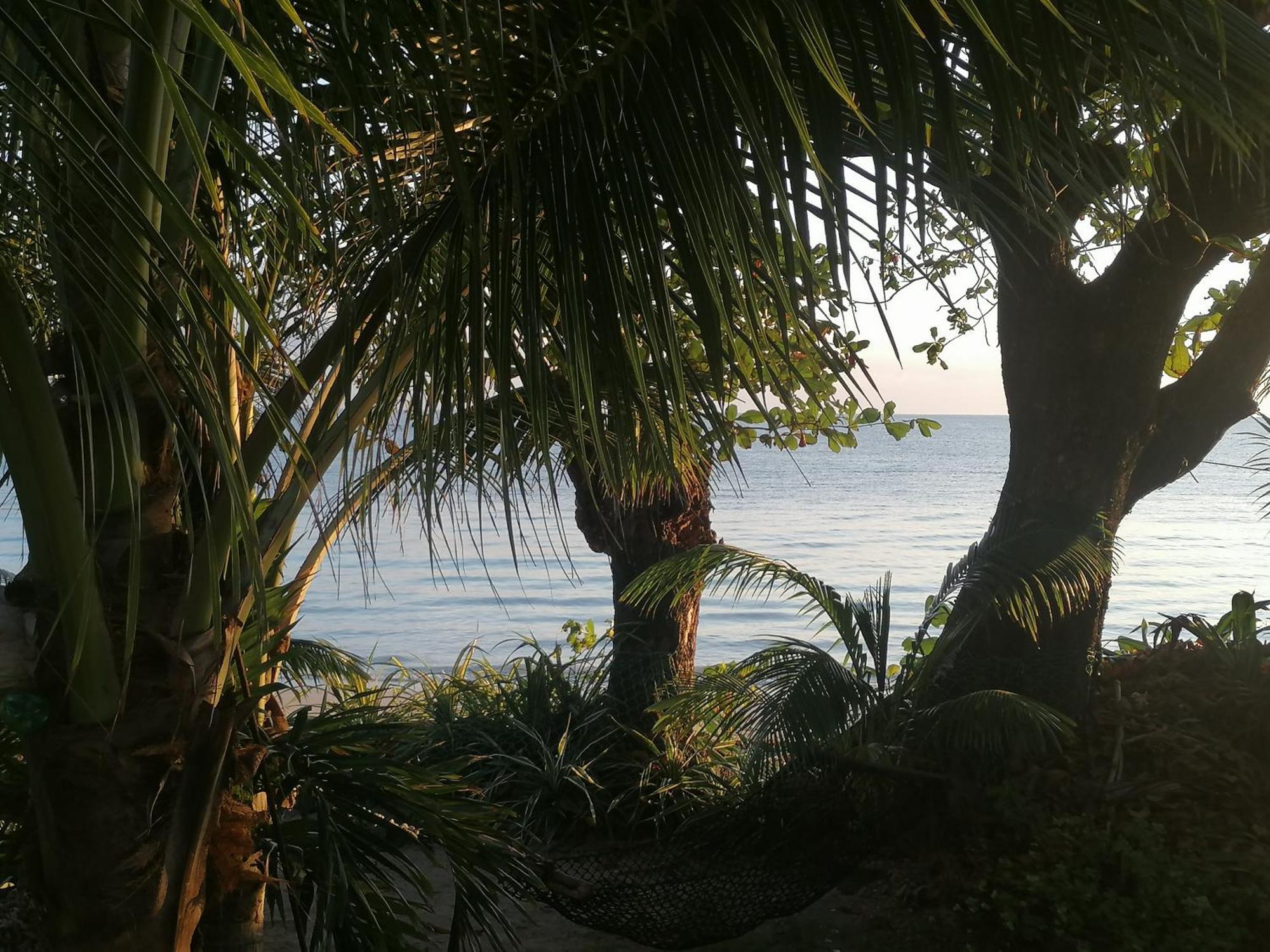 Port Antonio Brian'S Beach House Dış mekan fotoğraf