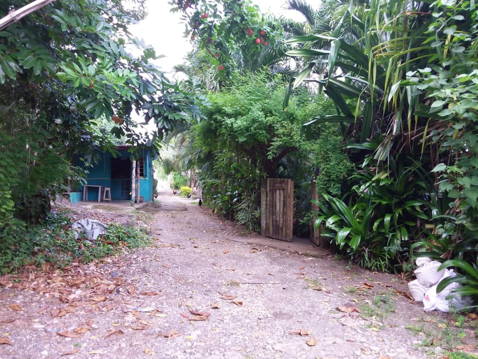 Port Antonio Brian'S Beach House Dış mekan fotoğraf