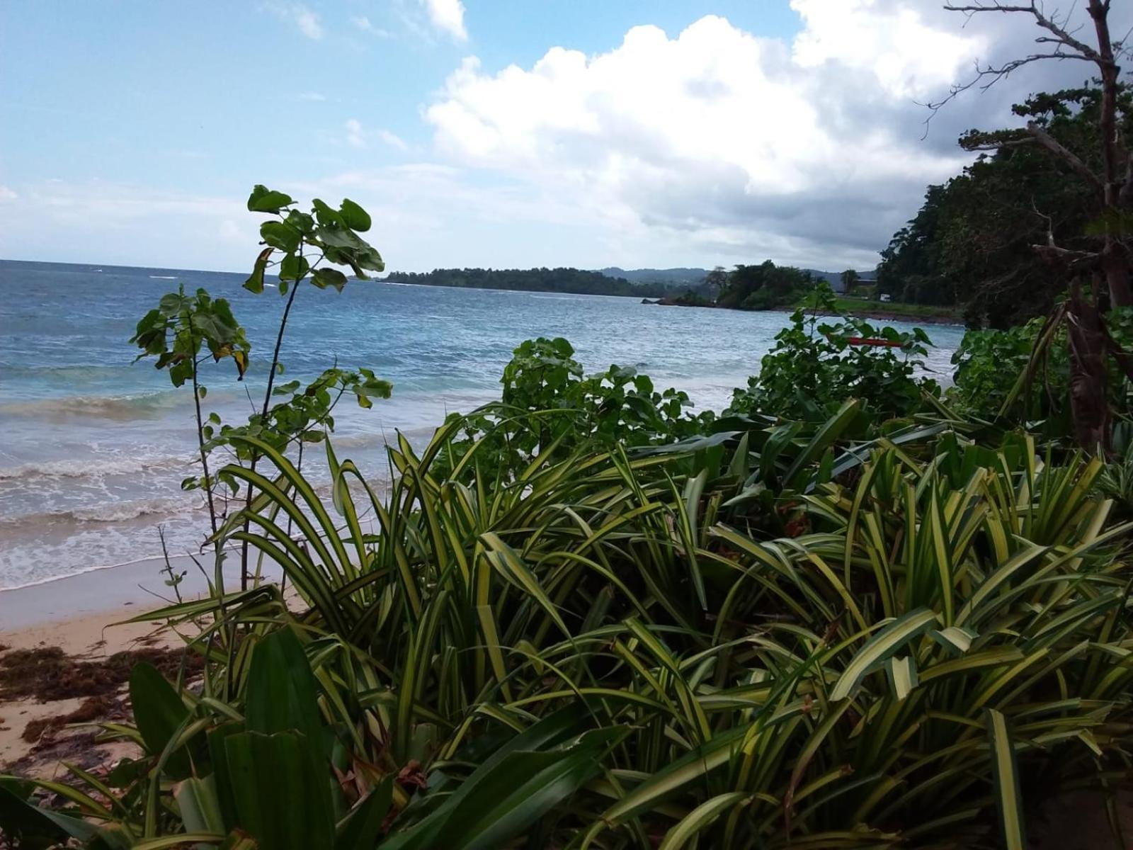 Port Antonio Brian'S Beach House Dış mekan fotoğraf